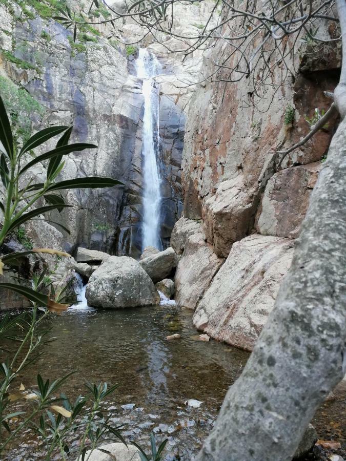 Il Giardino All'angolo *